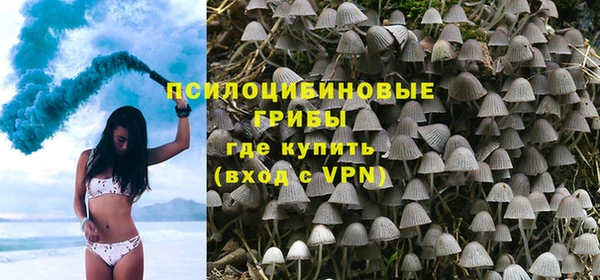 сатива Корсаков