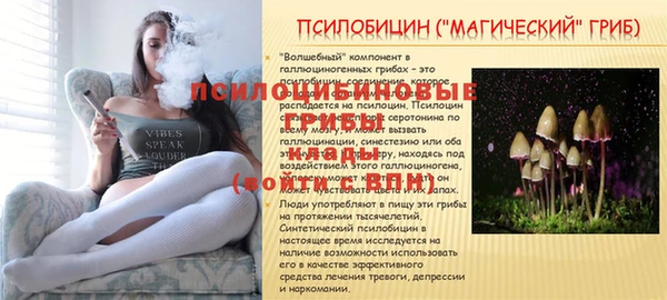 каннабис Аркадак