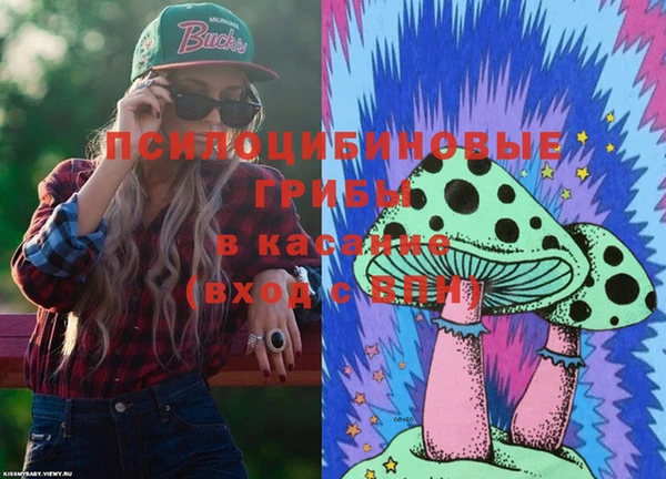 таблы Ладушкин