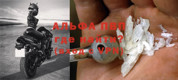 стафф Арсеньев